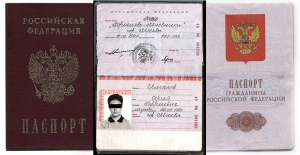 Сведения о недействительных (утраченных (похищенных) паспортов РФ